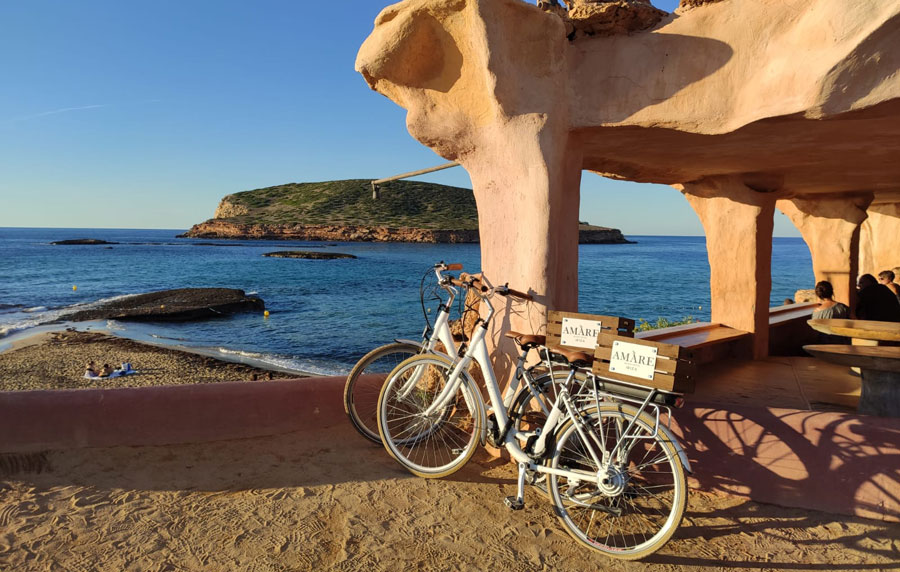 Electric bike rental